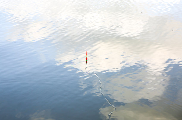 钓鱼浮在水里。在湖里游泳。户外爱好在大自然中。图片下载