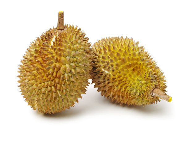 榴莲是东南亚水果之王图片下载