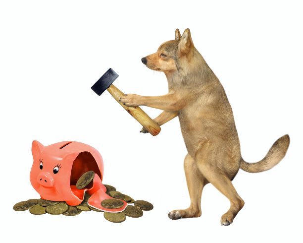 狗打破了存钱罐图片下载