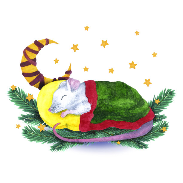 水彩圣诞卡片，云杉树枝上睡着的老鼠。白色背景上的圣诞插图。月和星星。图片下载