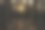 森林中的日落图片下载