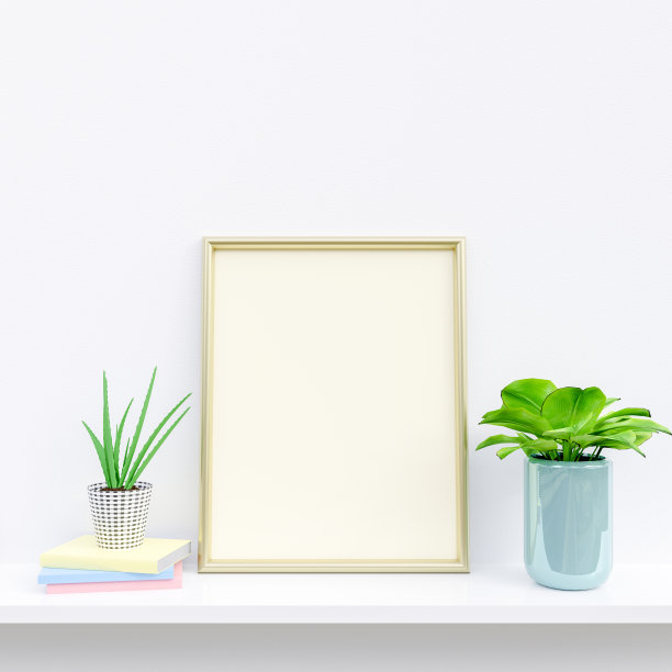 室内模拟金色框架设计，小的绿色植物在瓶中，白色背景的书籍。3 d渲染,插图。图片下载