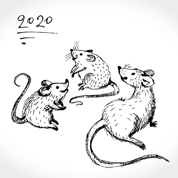 可爱的素描插图与三手画可爱的老鼠。2020鼠年。图片下载