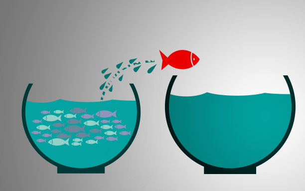 队长，鱼在水族馆外面跳图片下载