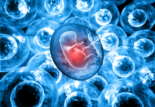 人类胎儿的抽象背景图片下载