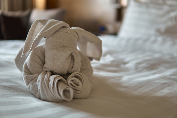 高档毛巾的狗图片下载