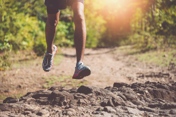 跑步者在树林里健身。运动员在森林里的石径上奔跑。图片下载