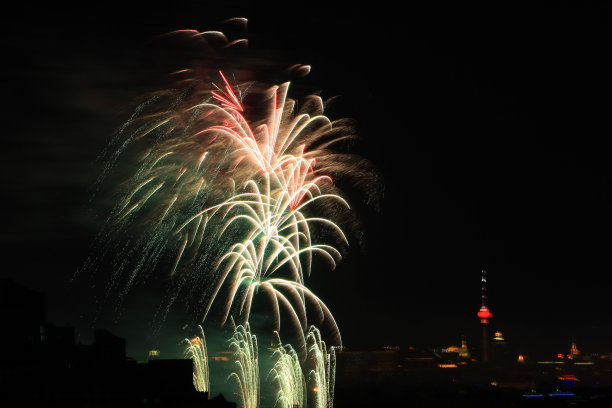 像花一样盛开的烟火表演图片下载