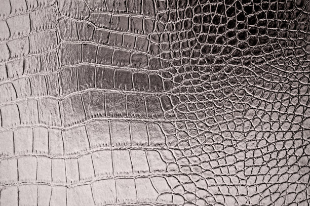 复古鳄鱼皮纹理图片下载