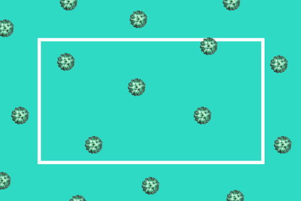 图案美丽的绿色多汁薄荷背景。图片下载