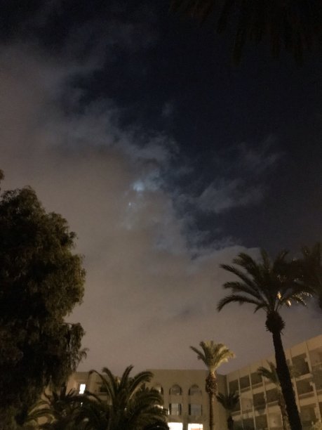 阿拉伯的夜晚图片下载