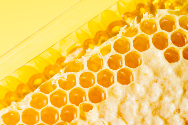 蜂房与蜂蜜在一个塑料容器特写图片下载