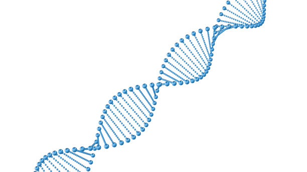 在白色背景上分离的DNA序列图片下载