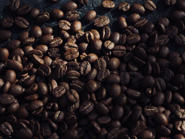 咖啡豆和枫叶，落叶图片下载