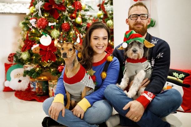 家庭与宠物圣诞肖像图片下载