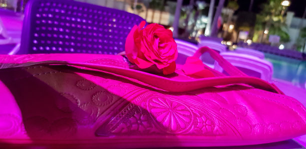 袋和玫瑰图片下载