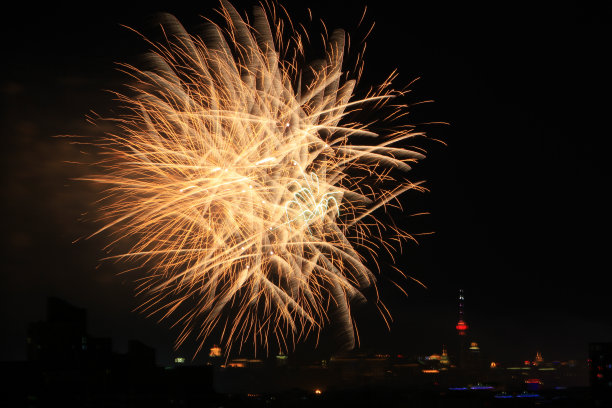 像花一样盛开的烟火表演图片下载