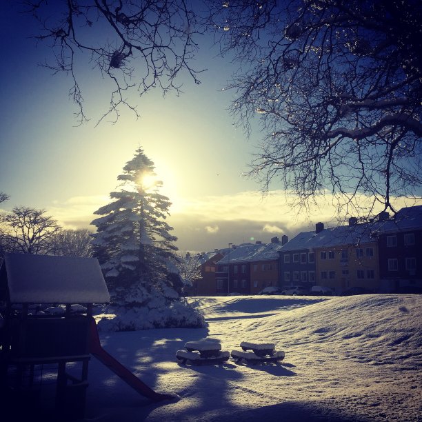 城市的冬日奇观图片下载