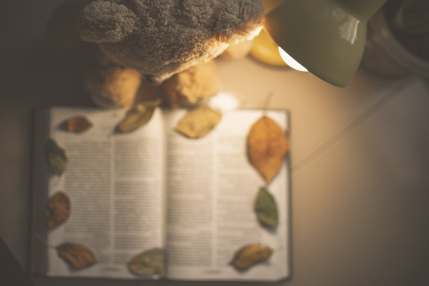 泰迪熊在桌子旁的夜灯下看书图片下载