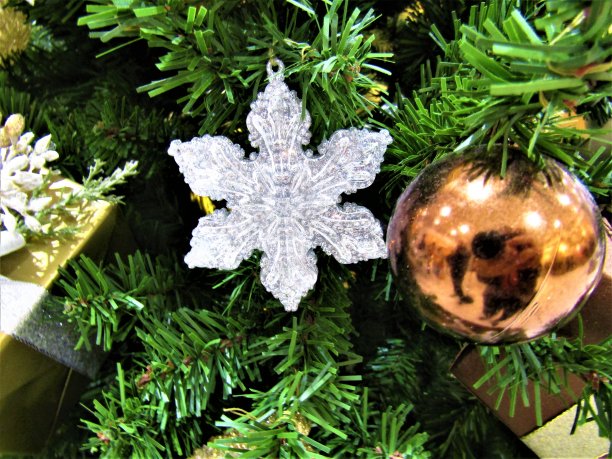 圣诞节的背景图片下载