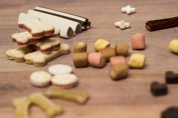 宠物食品，狗的零食图片下载