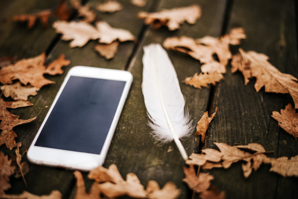 羽毛和消息写列表的现代技术图片下载