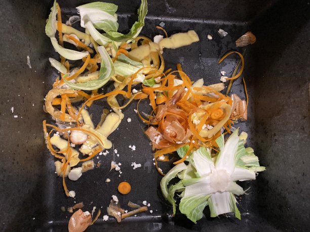 水槽内可降解废物图片下载