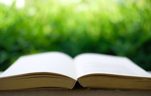 近距离的书在绿色的背景图片下载