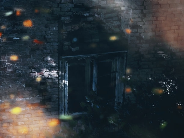 秋天的水坑里映出一幢被毁的房子图片下载