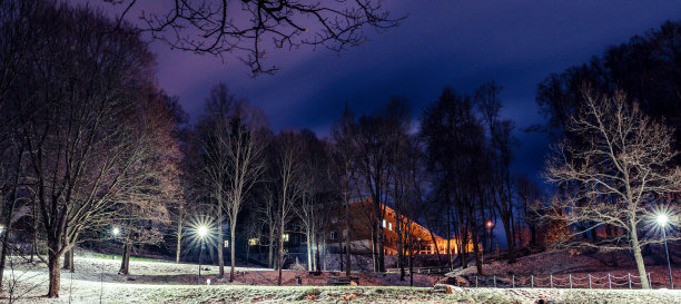 穆迪的照片，公园的夜晚在冬天图片下载