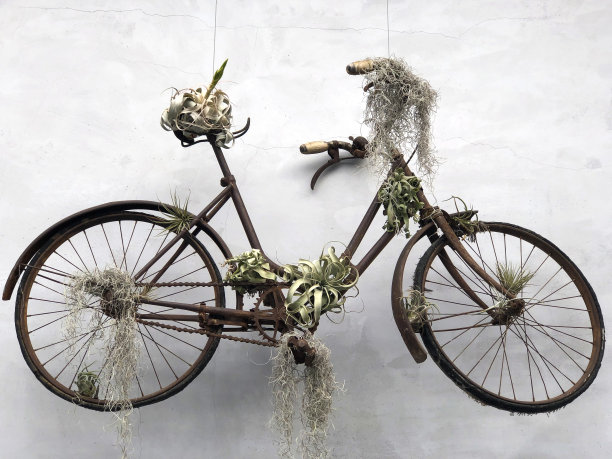 自行车图片下载