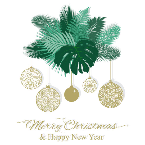 热带树叶和圣诞节装饰图片下载