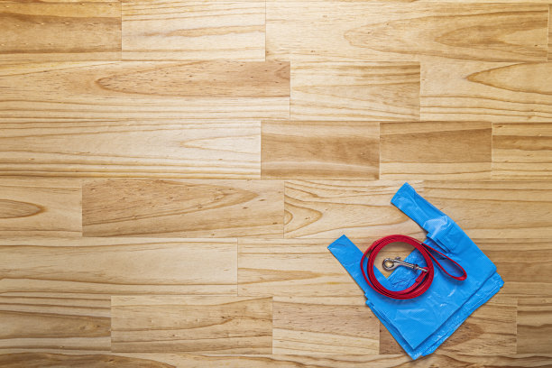 头顶上的红色狗链和大便袋准备走在木桌上图片下载