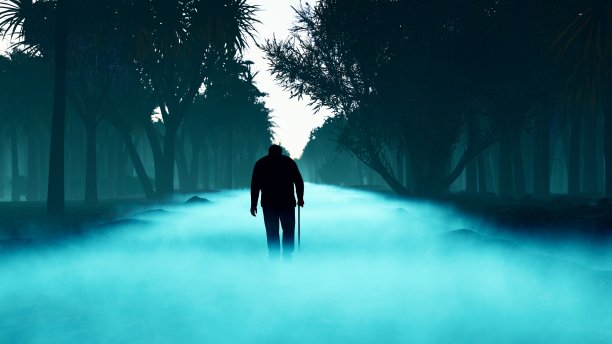 这位老人在黑暗、可怕、神秘、雾蒙蒙的森林里迷了路。茂密的森林中有高大的冷杉树。三维渲染图片下载