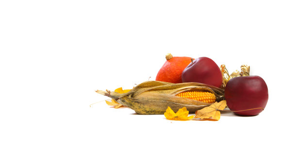 白色背景上的南瓜、苹果和玉米图片下载