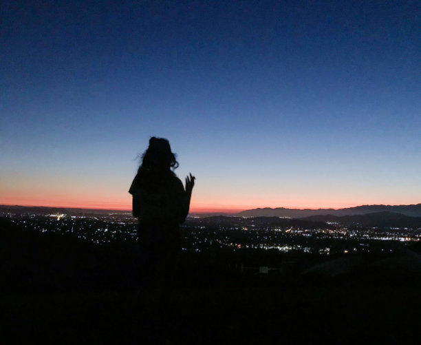 无花果树的轮廓图片下载