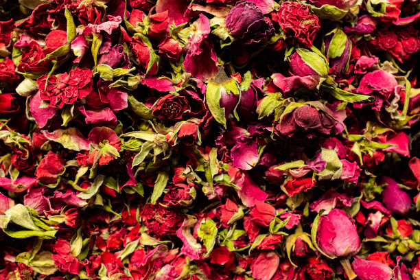 茶分离玫瑰图片下载