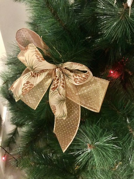 装饰圣诞树图片下载