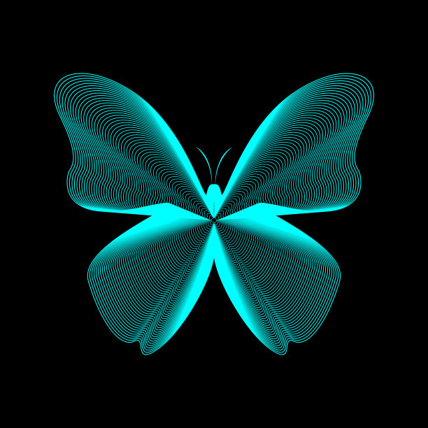 蝴蝶线矢量插图。霓虹线黑色eps10图片下载