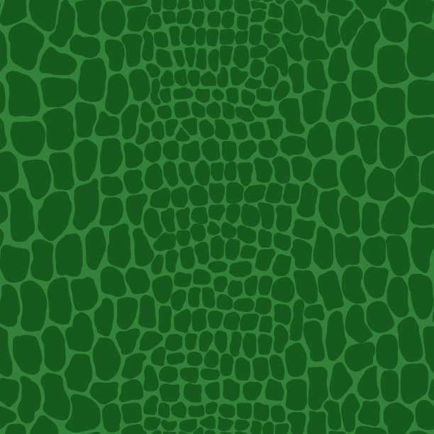 无缝鳄鱼皮肤图案的插图。动物图案图片下载