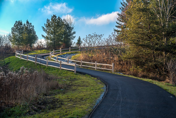 森林中的弯路图片下载