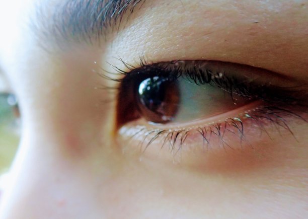 棕色的眼睛图片下载