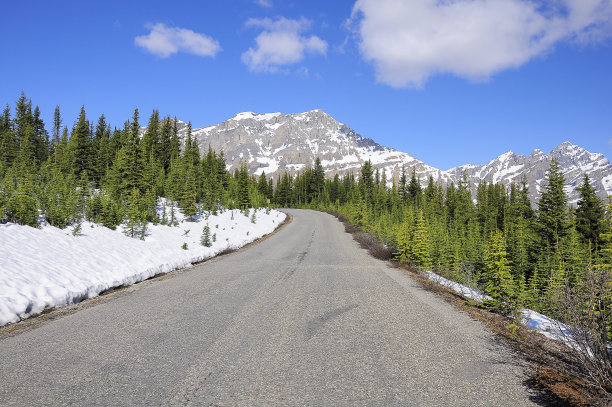春天去佩托湖的路…加拿大落基山脉。图片下载