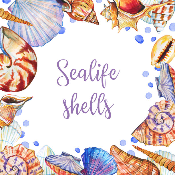 带壳的矩形框架。手绘水彩插图图片下载