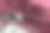 微距拍摄的彩色拉链上的彩色纺织品配件，锁定和解锁图片下载