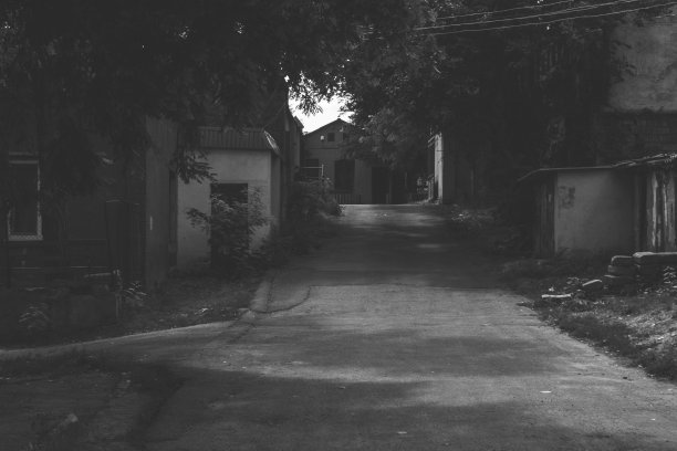 敖德萨,乌克兰。阳光明媚的城市景观:“n绿荫下的小庭院，平房和车库。黑白单色照片图片下载