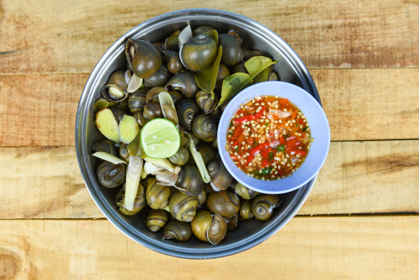 比拉壶腹贝类淡水蜗牛鹦鹉螺与辛辣辣椒酱-煮金苹果蜗牛河煮亚洲食物在泰国图片下载