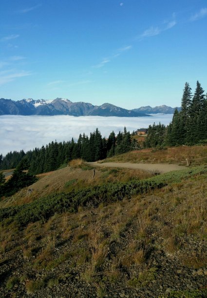 飓风脊图片下载