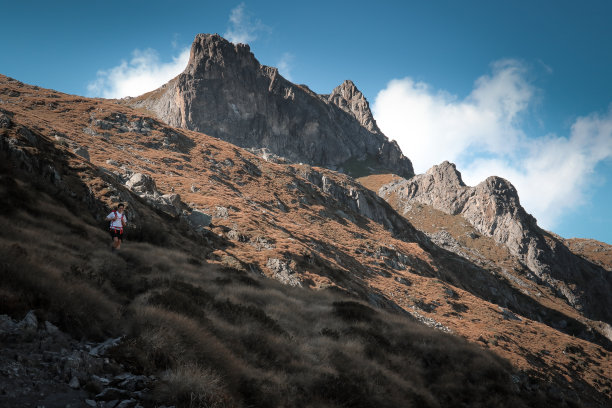 布鲁蒙图片下载