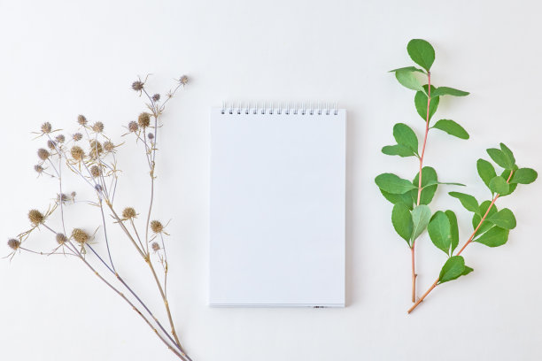 模型白色笔记本与树枝与绿色的叶子在一个轻的背景图片下载